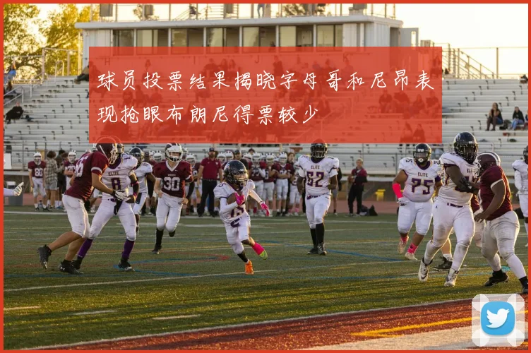 球员投票结果揭晓字母哥和尼昂表现抢眼布朗尼得票较少
