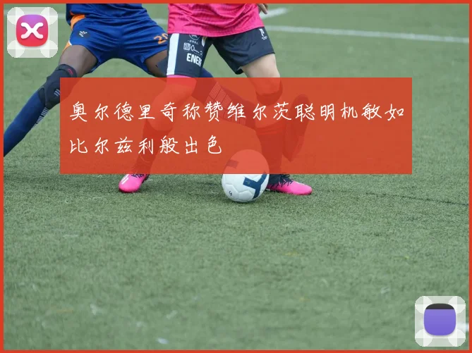 奥尔德里奇称赞维尔茨聪明机敏如比尔兹利般出色