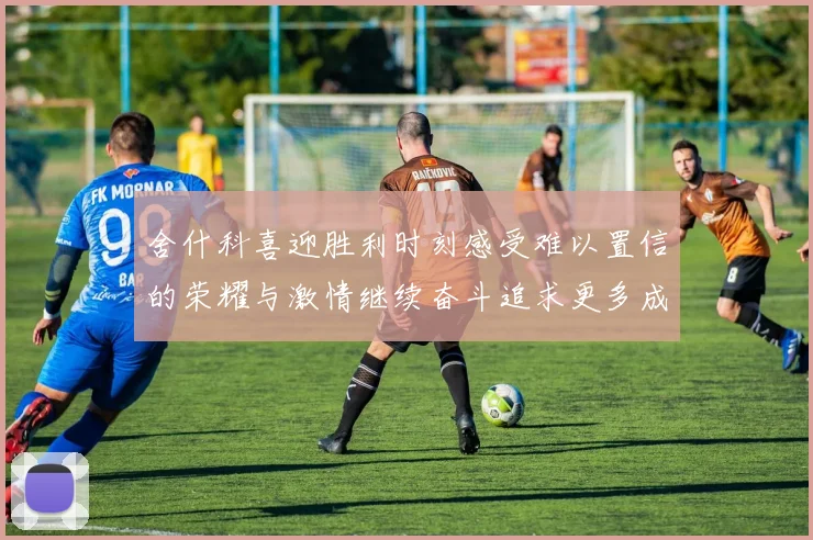舍什科喜迎胜利时刻感受难以置信的荣耀与激情继续奋斗追求更多成就