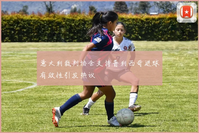 意大利裁判协会支持普利西奇进球有效性引发热议