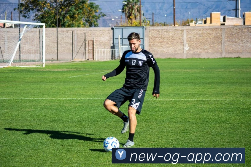 OG真人平台生态图